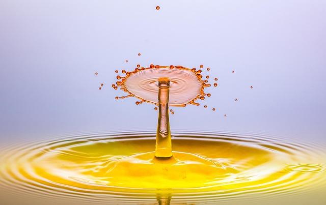 Comparing Cashback Features to Find the Right Fit