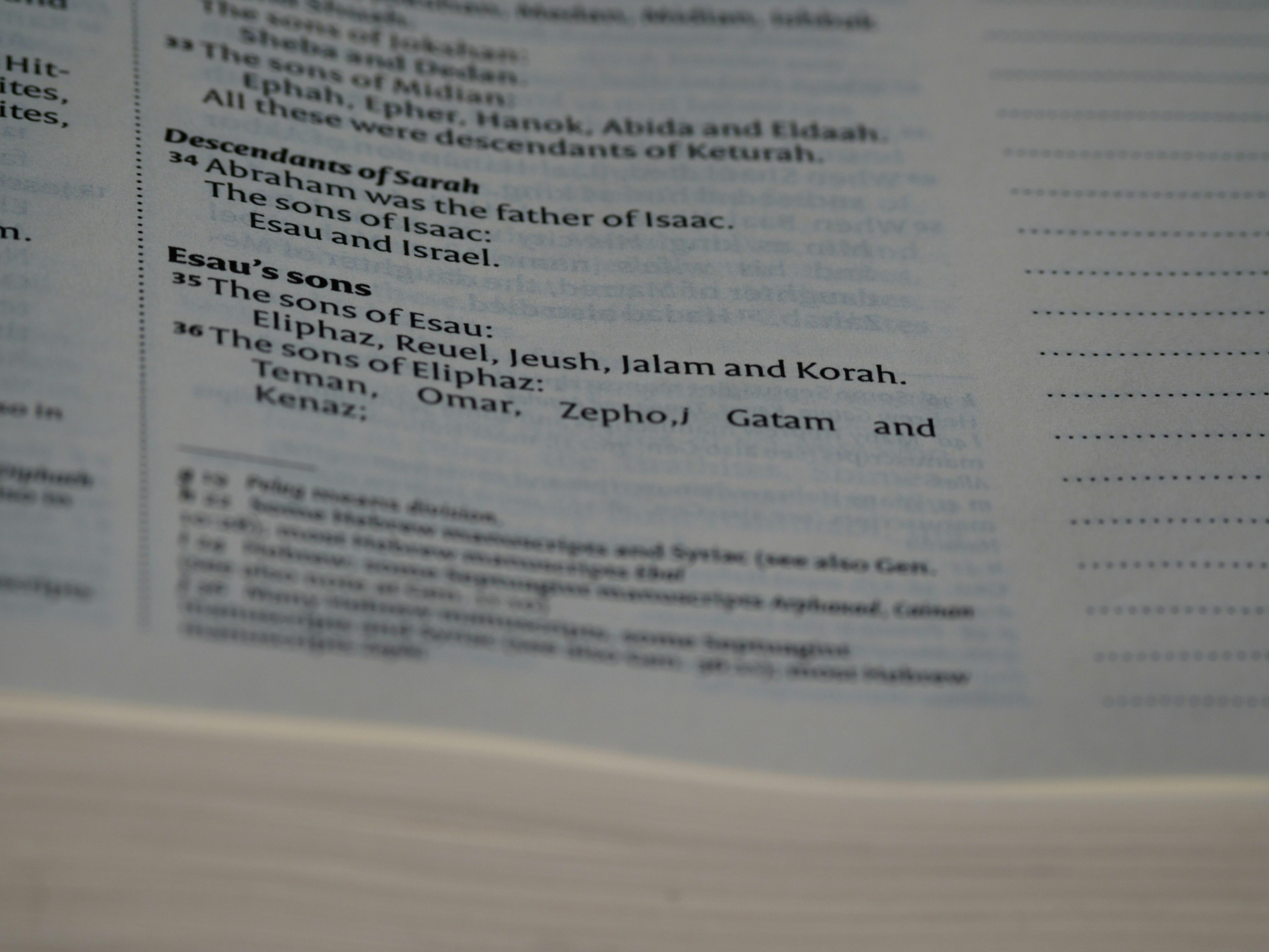 Crafting Tailored Audit Reports That Convert Leads into Long-Term Clients