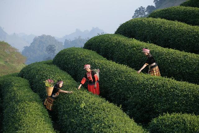 User Experience and Community Support Features