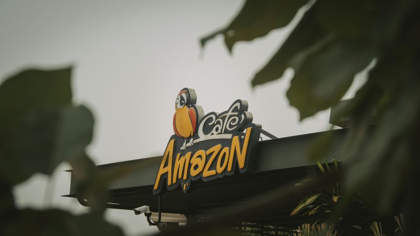 Unlocking Amazon KDP 2025: A Beginner’s Creative Guide