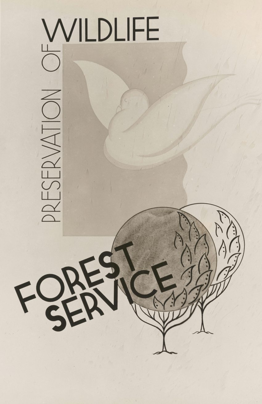 Unlocking Success: How to Offer SaaS as a Service Seamlessly