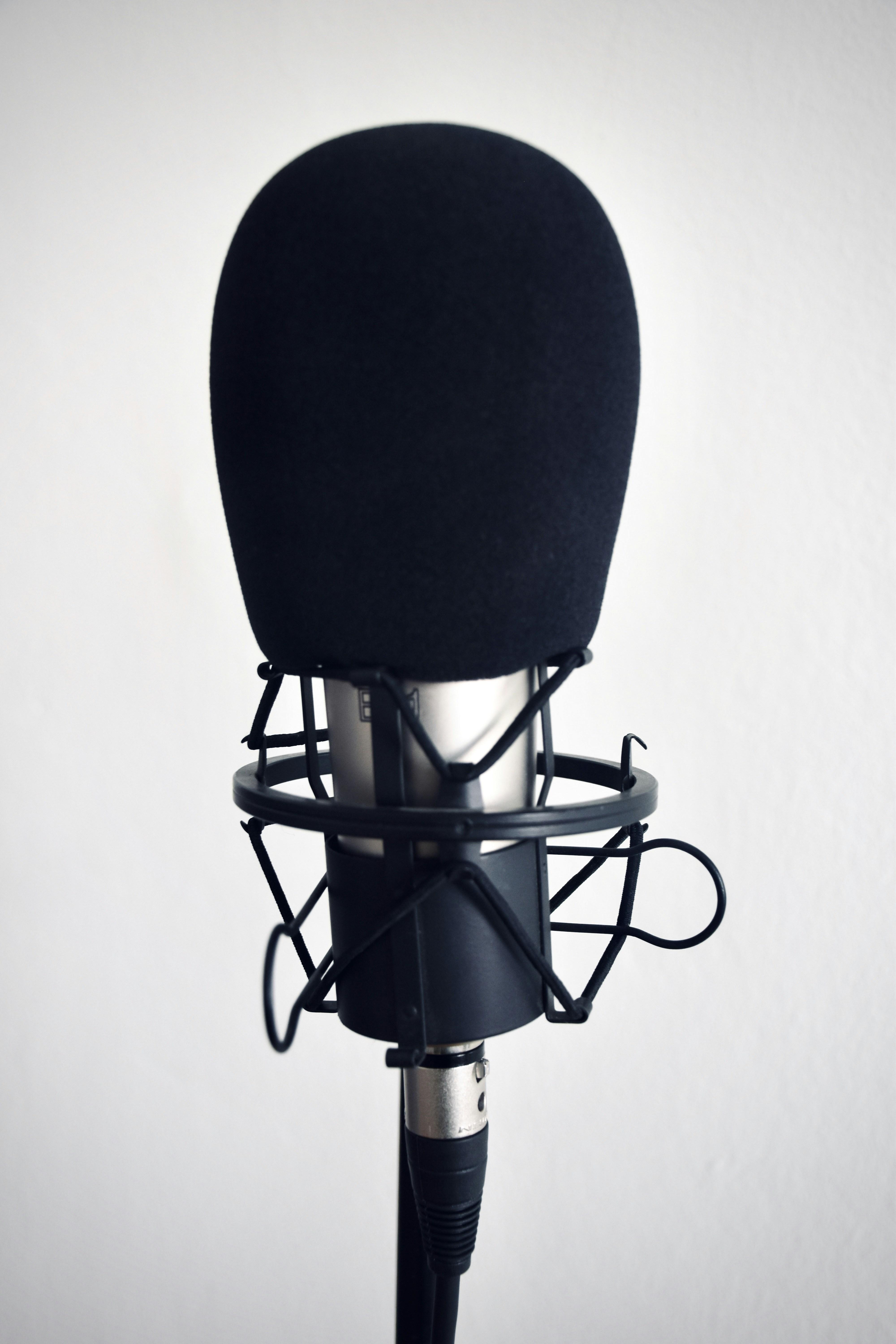 Finding Your Voice Niche in the Digital Market