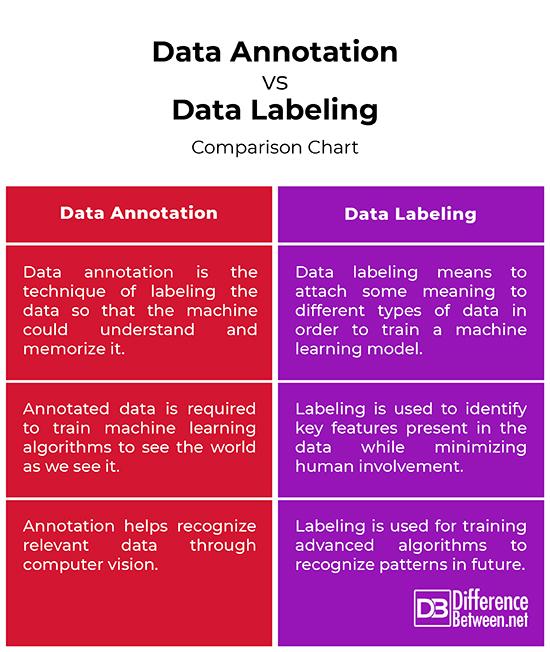 Essential Skills and Tools for Successful Data Annotation Work